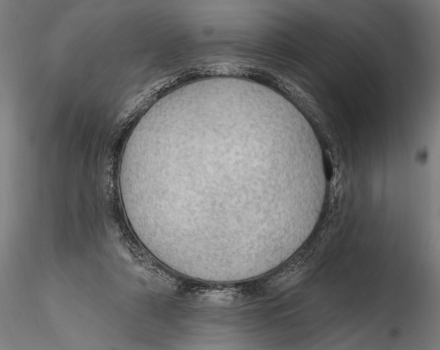 X0000115490306200912041021