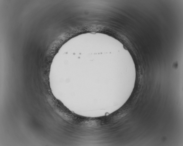 X0000115490307200912041021