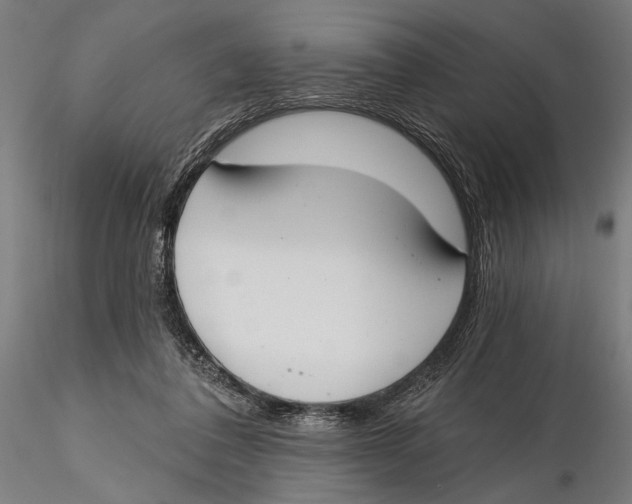 X0000115490308200912041021