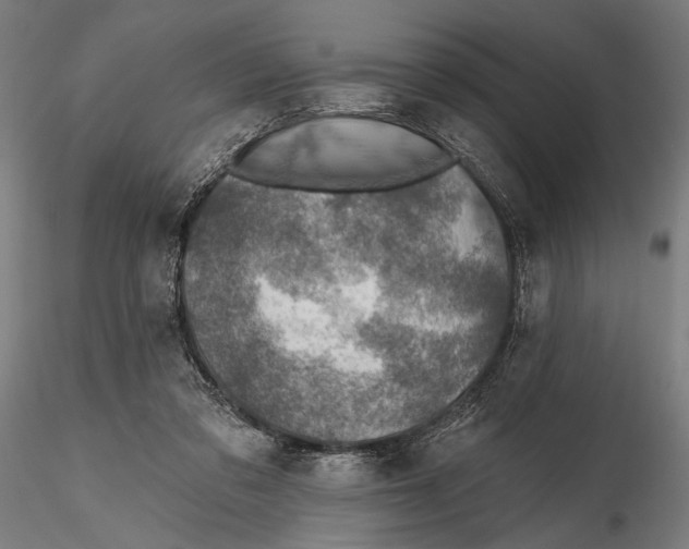 X0000115490309200912041021