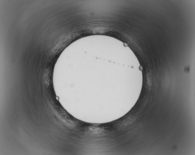 X0000115490311200912041021