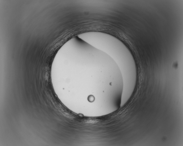 X0000115490313200912041021