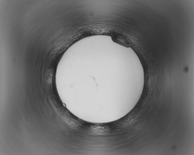 X0000115490315200912041021