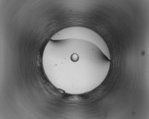 X0000115490316200912041021