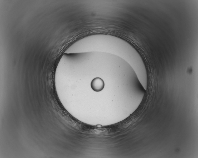X0000115490317200912041021