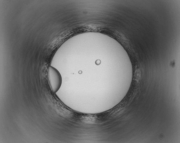 X0000115490318200912041021