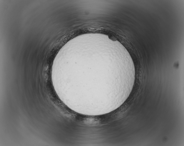 X0000115490319200912041021
