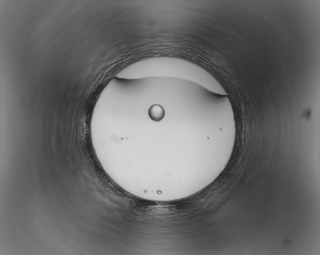 X0000115490320200912041021