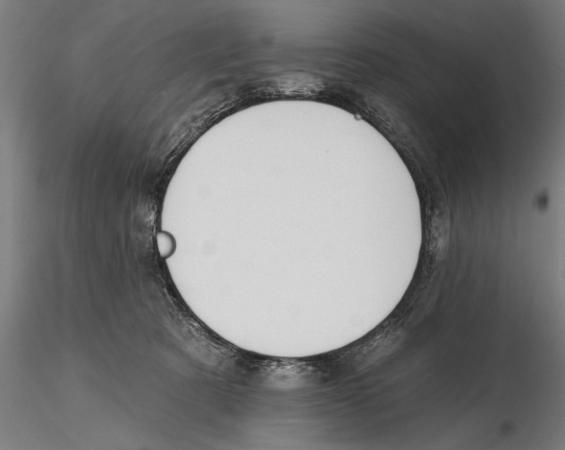 X0000115490321200912041021
