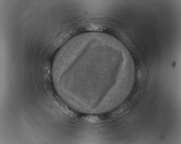 X0000115490322200912041021