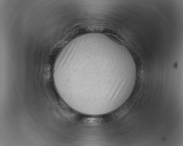 X0000115490323200912041021