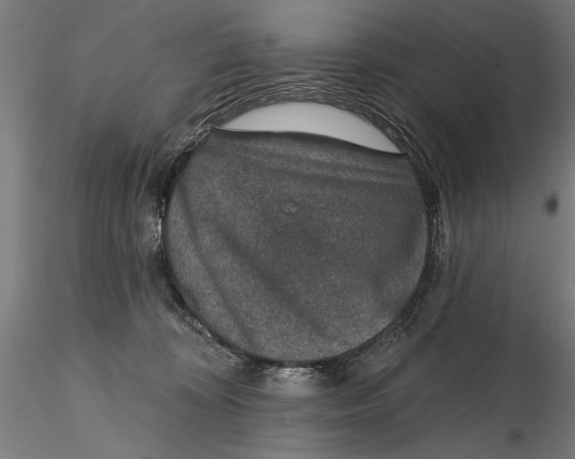 X0000115490324200912041021