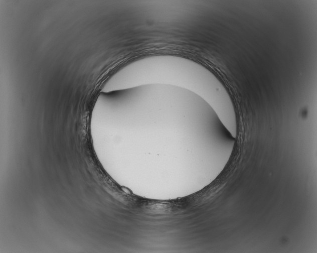 X0000115490325200912041021
