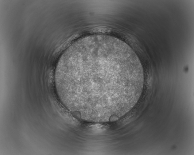 X0000115490326200912041021