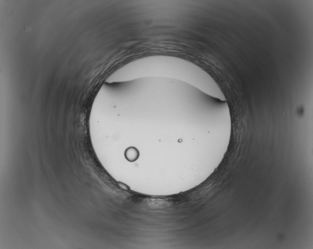 X0000115490327200912041021