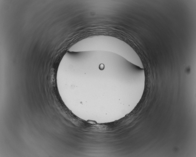 X0000115490328200912041021