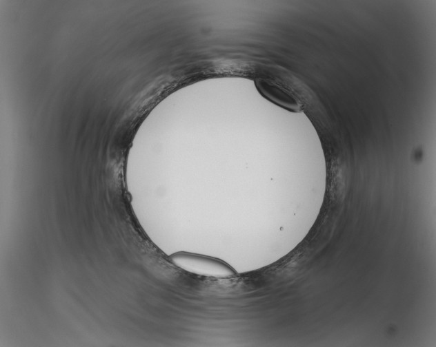 X0000115490329200912041021