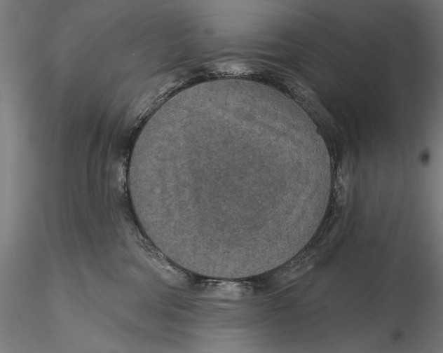 X0000115490330200912041021