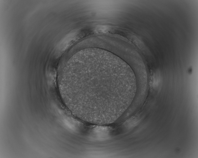 X0000115490332200912041021