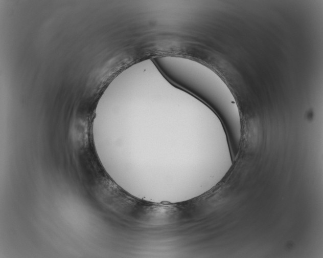 X0000115490333200912041021