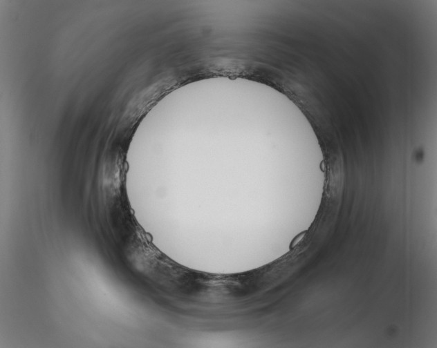 X0000115490334200912041021