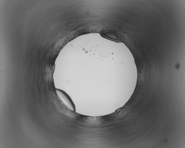 X0000115490335200912041021
