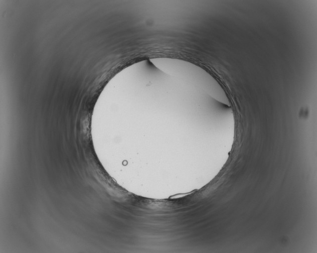 X0000115490336200912041021