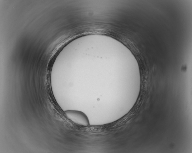 X0000115490338200912041020