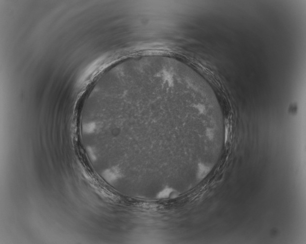 X0000115490339200912041020