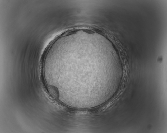X0000115490342200912041020