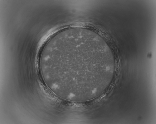 X0000115490343200912041020