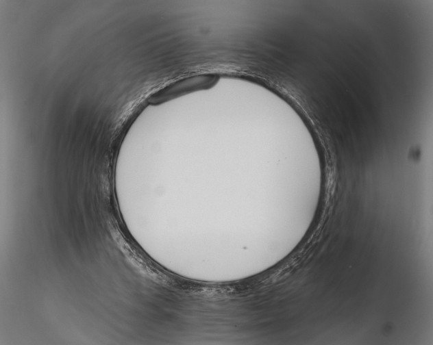 X0000115490345200912041020
