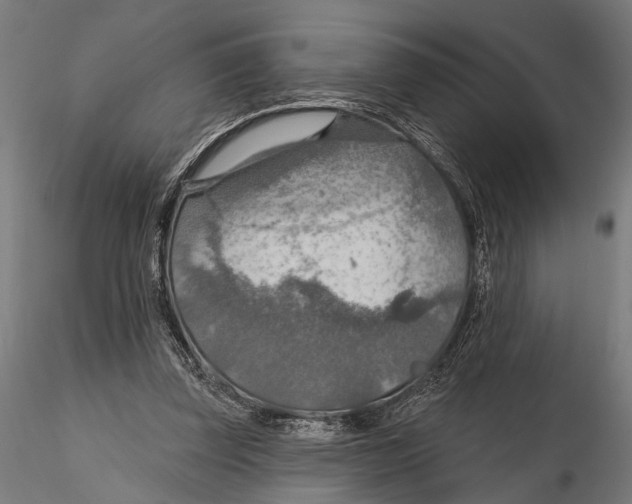 X0000115490347200912041020