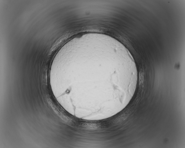 X0000115490349200912041020