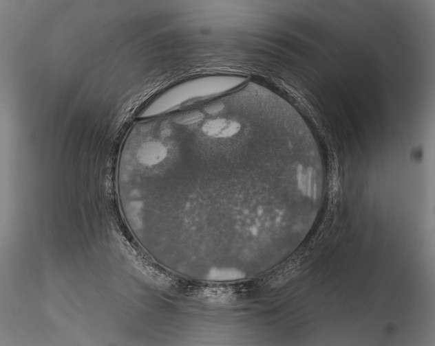 X0000115490353200912041020