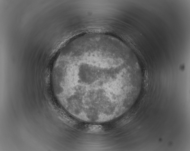 X0000115490355200912041020