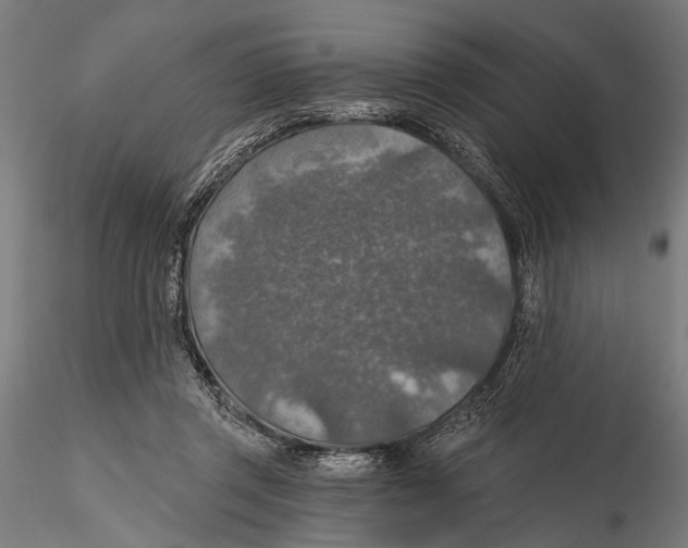 X0000115490357200912041021