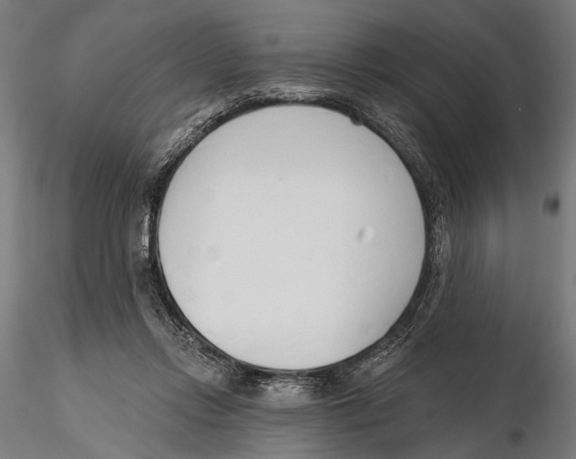 X0000115490358200912041021