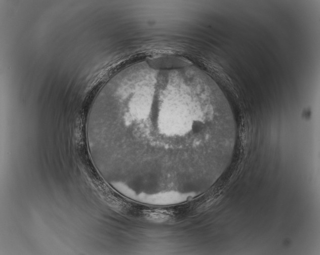 X0000115490359200912041021
