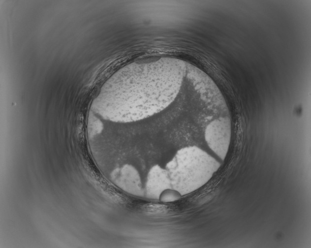 X0000115490361200912041021