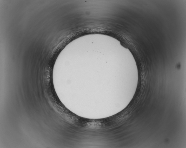 X0000115490362200912041021