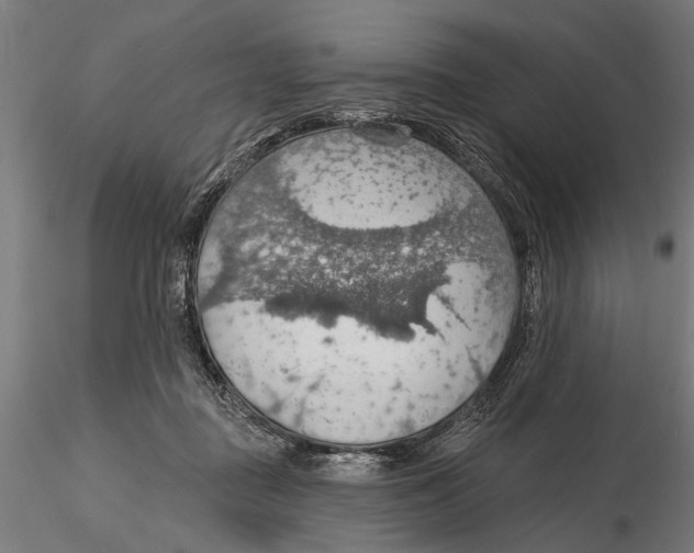 X0000115490363200912041021