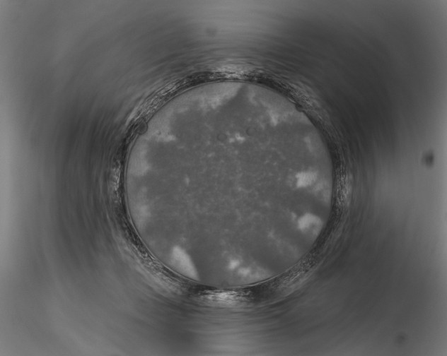 X0000115490365200912041021