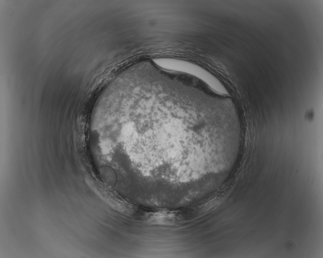 X0000115490366200912041021