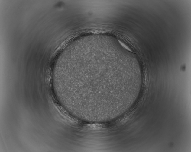 X0000115490367200912041021