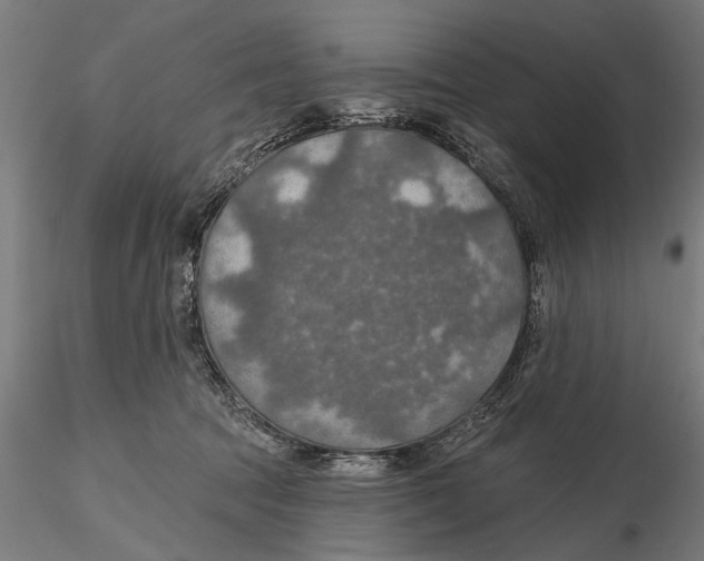 X0000115490369200912041021
