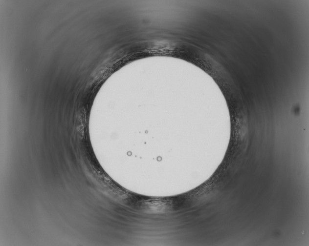 X0000115490370200912041021