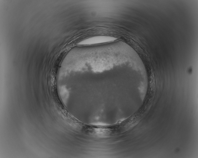 X0000115490371200912041021