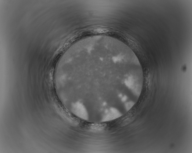 X0000115490373200912041021