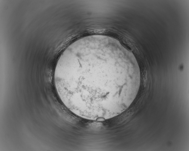 X0000115490374200912041021